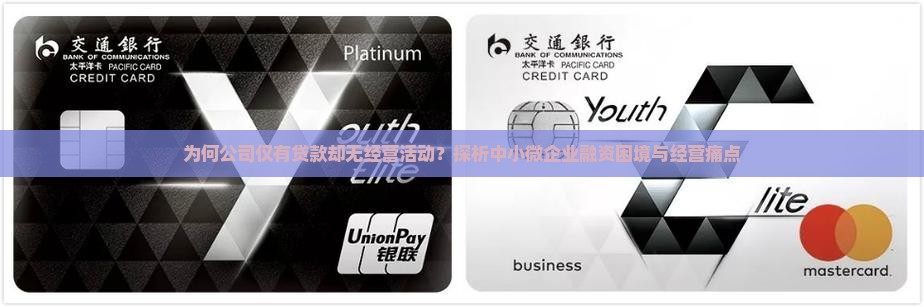 为何公司仅有贷款却无经营活动？探析中小微企业融资困境与经营痛点
