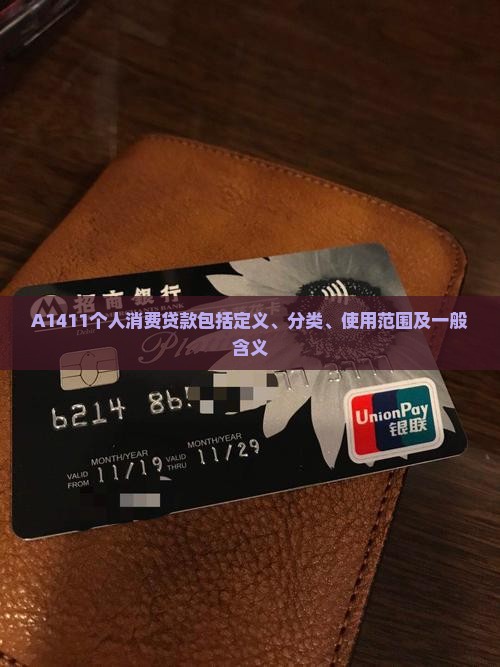A1411个人消费贷款包括定义、分类、使用范围及一般含义