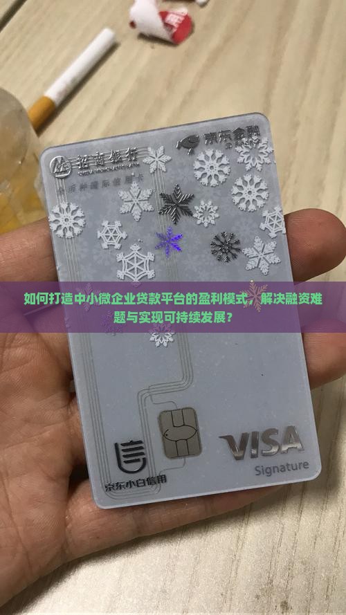 如何打造中小微企业贷款平台的盈利模式，解决融资难题与实现可持续发展？