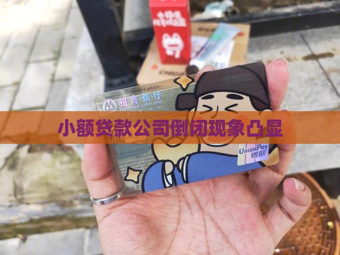 小额贷款公司倒闭现象凸显 小额贷款公司倒闭现象凸显