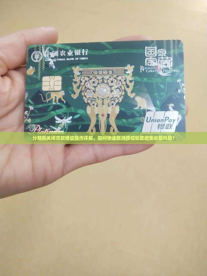 分期乐关闭贷款授信操作详解，如何快速取消授信额度避免逾期风险？