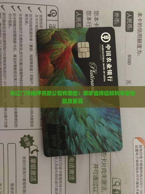 东辽门市抵押贷款公司有哪些：哪家值得信赖利率更低额度更高