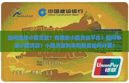 如何选择小额贷款？有哪些小额贷款平台？如何申请小额贷款？小额贷款利率和额度如何计算？
