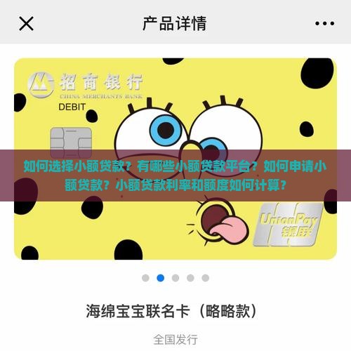 如何选择小额贷款？有哪些小额贷款平台？如何申请小额贷款？小额贷款利率和额度如何计算？