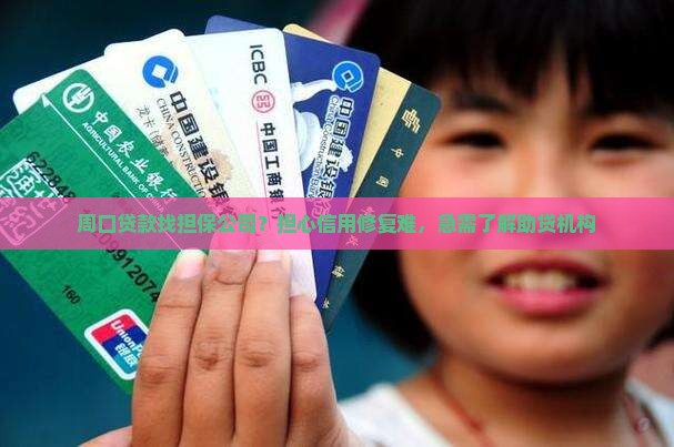 周口贷款找担保公司？担心信用修复难，急需了解助贷机构