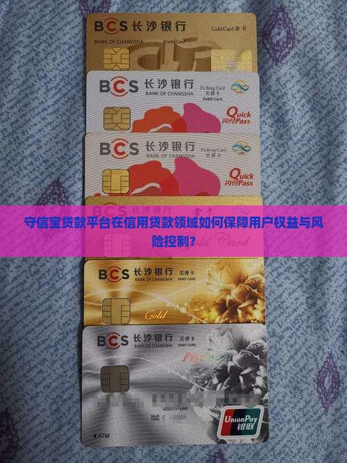 守信宝贷款平台在信用贷款领域如何保障用户权益与风险控制？