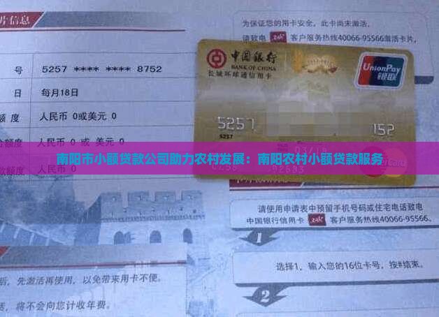南阳市小额贷款公司助力农村发展：南阳农村小额贷款服务