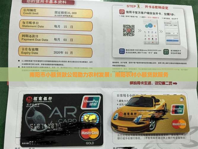 南阳市小额贷款公司助力农村发展：南阳农村小额贷款服务