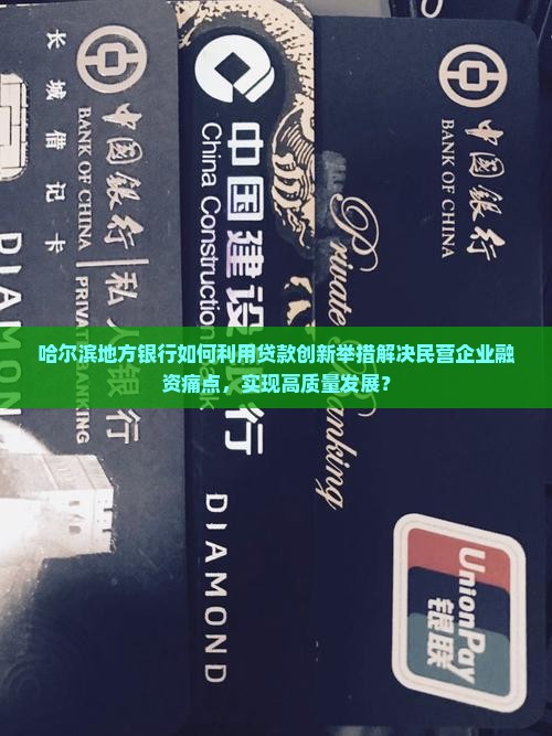 哈尔滨地方银行如何利用贷款创新举措解决民营企业融资痛点，实现高质量发展？