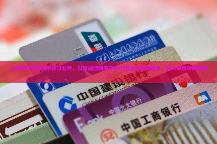 上海银行如何携手贷款业务，以金融创新解决中小微企业融资痛点，融入专精特新战略？