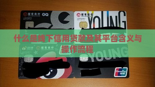 什么是线下信用贷款及其平台含义与操作流程