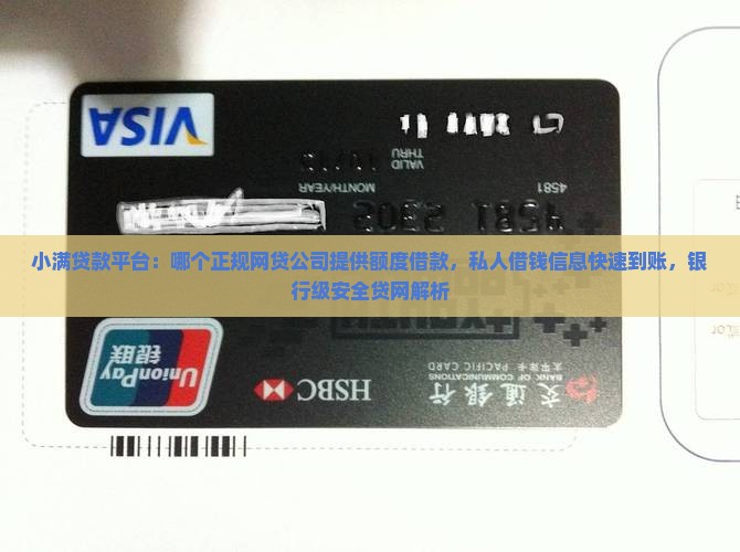 小满贷款平台：哪个正规网贷公司提供额度借款，私人借钱信息快速到账，银行级安全贷网解析