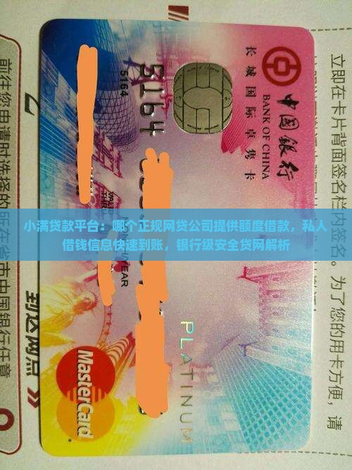 小满贷款平台：哪个正规网贷公司提供额度借款，私人借钱信息快速到账，银行级安全贷网解析