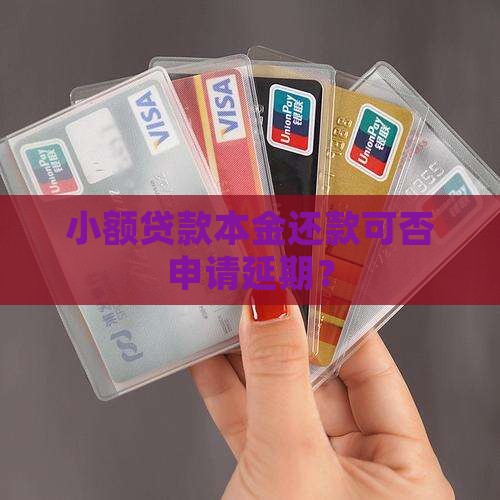 小额贷款本金还款可否申请延期？