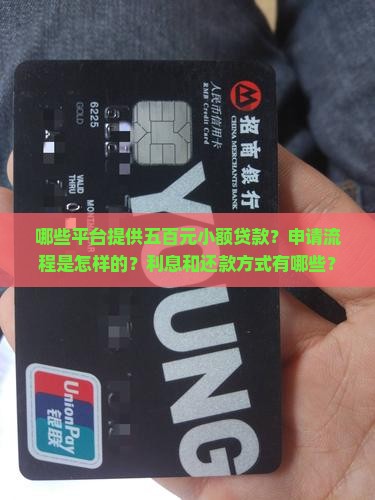 哪些平台提供五百元小额贷款？申请流程是怎样的？利息和还款方式有哪些？