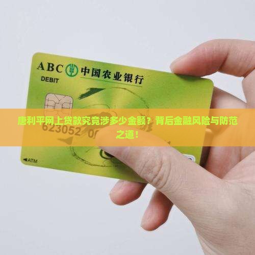 唐利平网上贷款究竟涉多少金额？背后金融风险与防范之道！