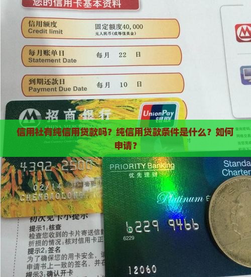 信用社有纯信用贷款吗？纯信用贷款条件是什么？如何申请？