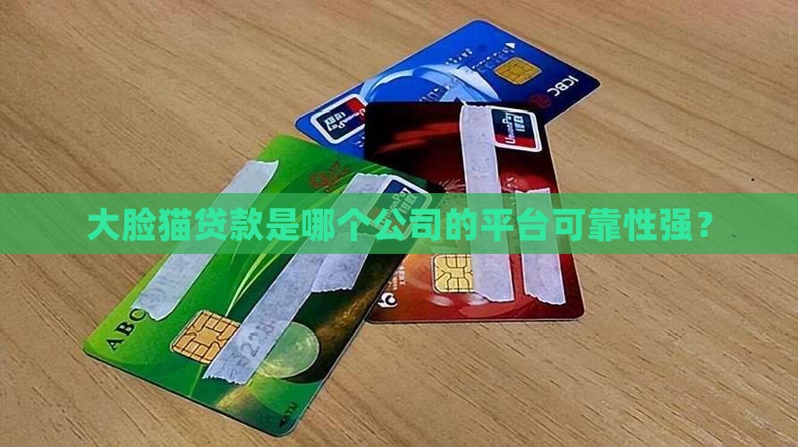 大脸猫贷款是哪个公司的平台可靠性强？