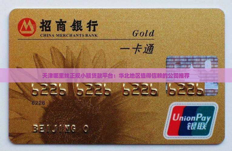 天津哪里找正规小额贷款平台：华北地区值得信赖的公司推荐