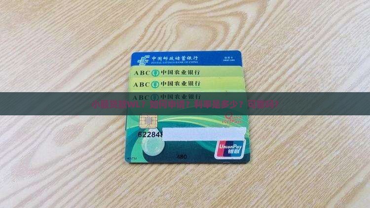 小额贷款WL？如何申请？利率是多少？可靠吗？