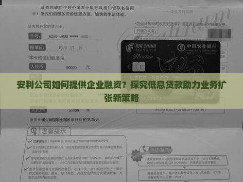 安利公司如何提供企业融资？探究低息贷款助力业务扩张新策略