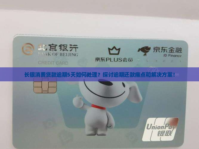 长银消费贷款逾期5天如何处理？探讨逾期还款痛点和解决方案！