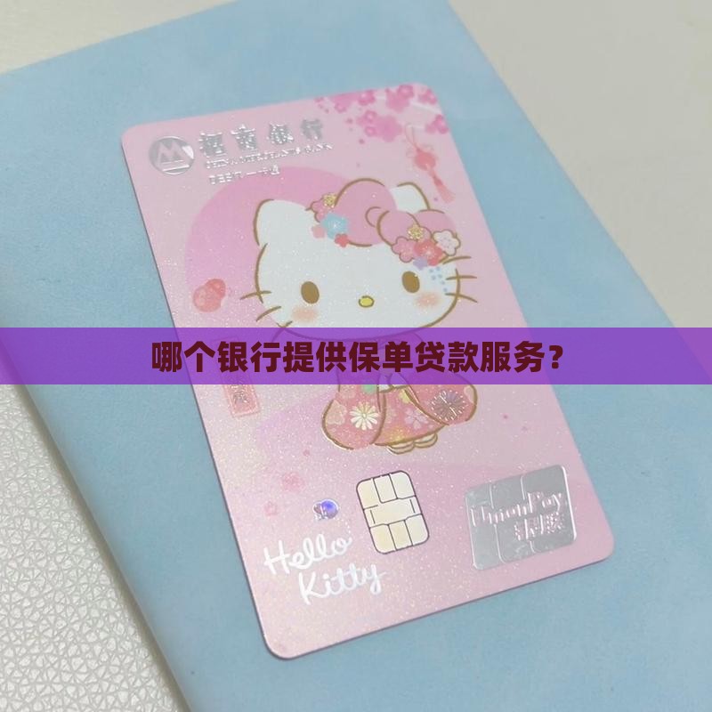 哪个银行提供保单贷款服务？