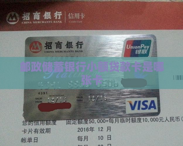 邮政储蓄银行小额贷款卡是哪张卡