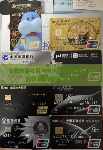 资阳市雁江区伟创小额贷款股份：小额贷款服务评价如何？