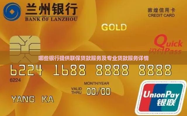 哪些银行提供联保贷款服务及专业贷款服务详情