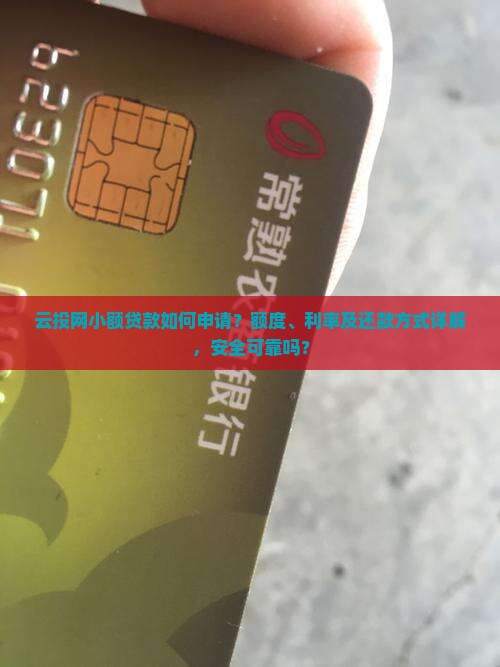 云投网小额贷款如何申请？额度、利率及还款方式详解，安全可靠吗？