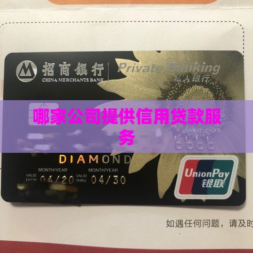 哪家公司提供信用贷款服务