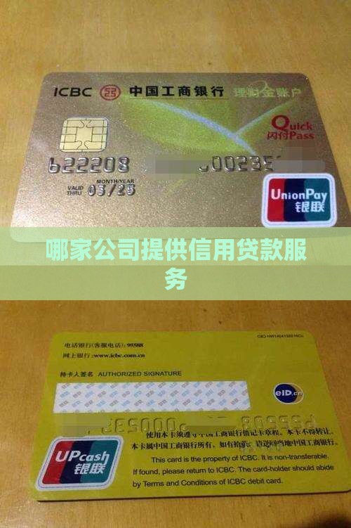 哪家公司提供信用贷款服务