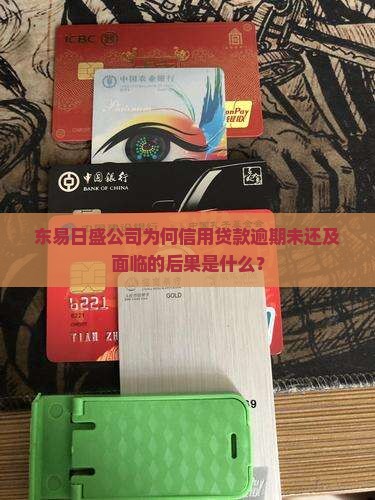 东易日盛公司为何信用贷款逾期未还及面临的后果是什么？