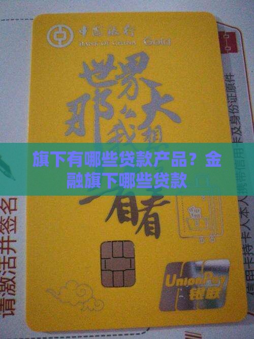 旗下有哪些贷款产品？金融旗下哪些贷款