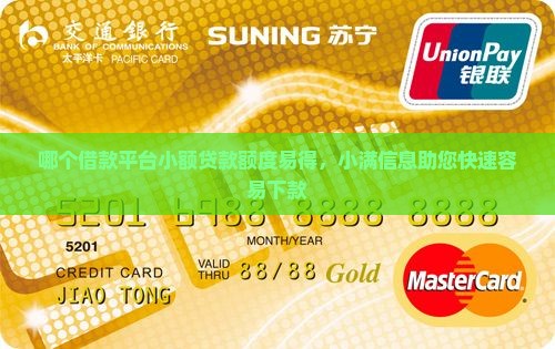 哪个借款平台小额贷款额度易得，小满信息助您快速容易下款