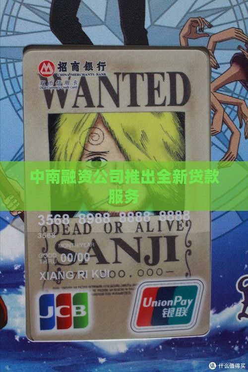 中南融资公司推出全新贷款服务 中南融资公司推出全新贷款服务
