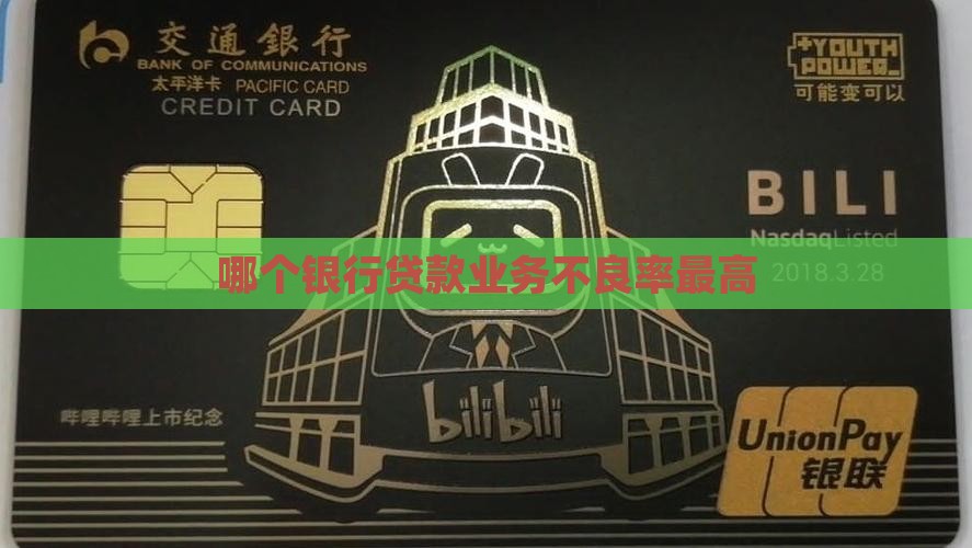 哪个银行贷款业务不良率最高