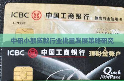 中研小额贷款行业批量发展策略研究