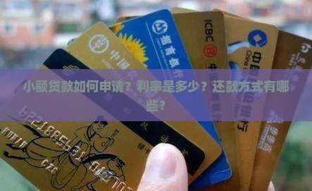 小额贷款如何申请？利率是多少？还款方式有哪些？