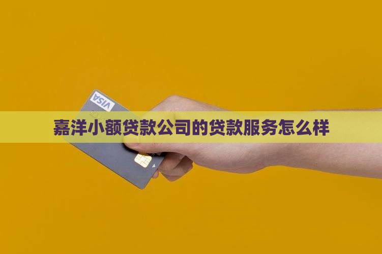 嘉洋小额贷款怎么样