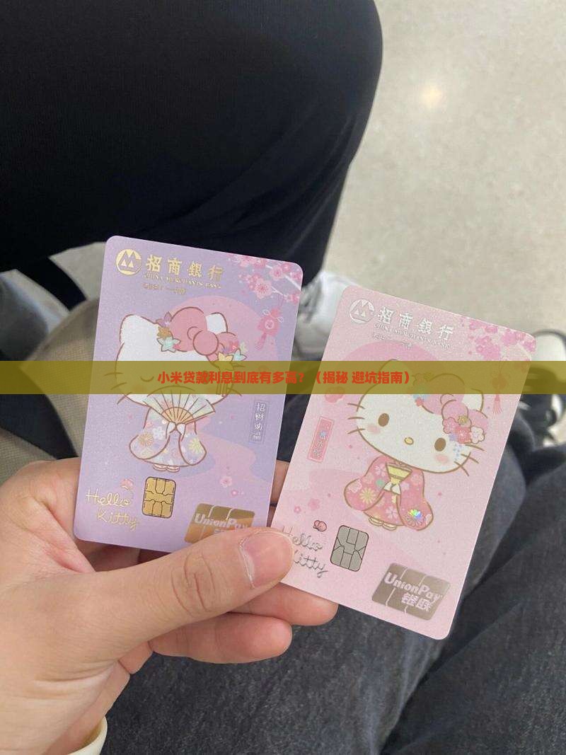 小米贷款利息多高