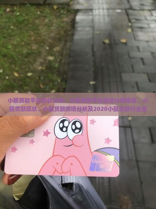 小额贷款平台现状分析