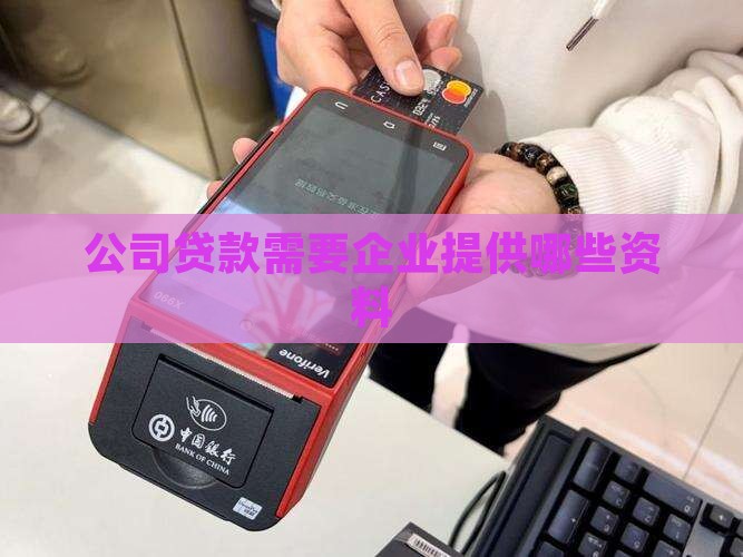 公司贷款要提交基本情况