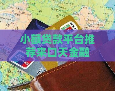 小额贷款平台来口天金融