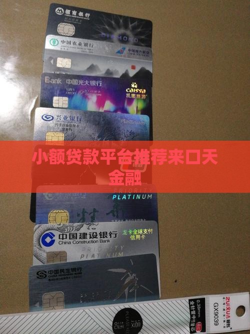 小额贷款平台来口天金融