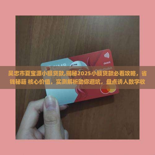吴忠市夏宝源小额贷款
