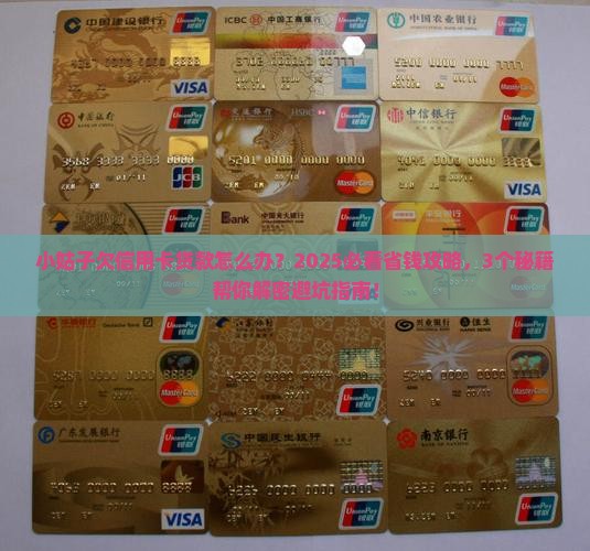 小姑子欠信用卡贷款