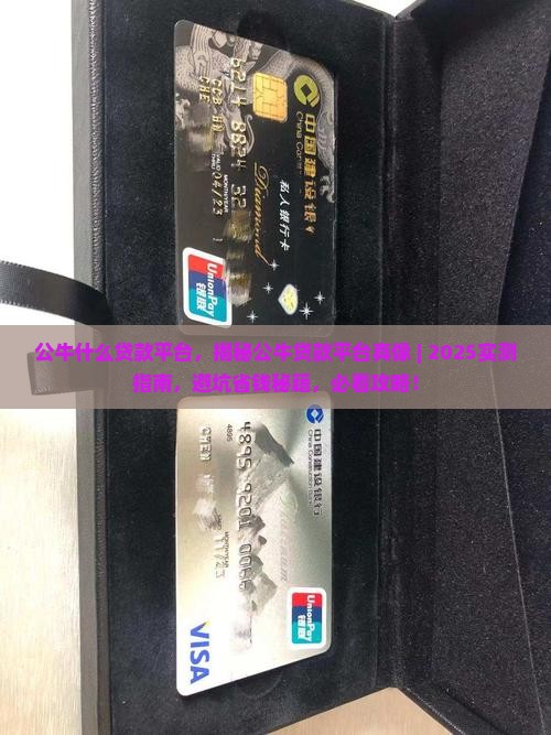 公牛什么贷款平台