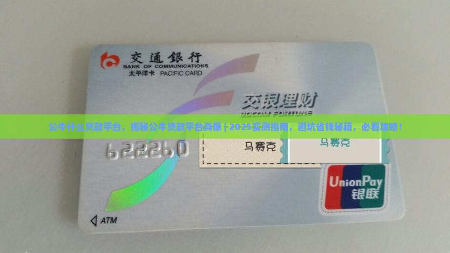 公牛什么贷款平台